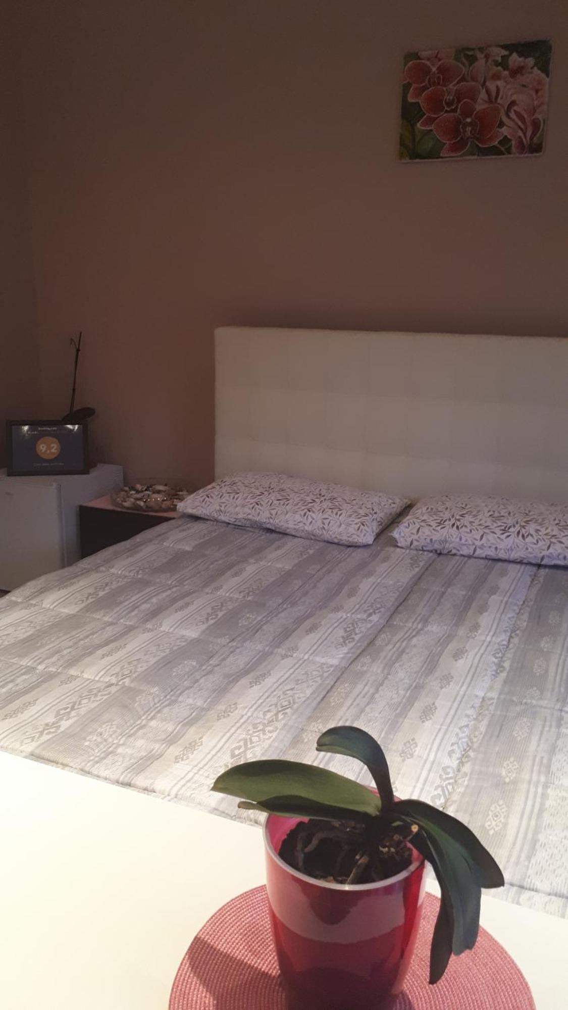 Hotel Casa Delle Orchidee Alba  Pokój zdjęcie